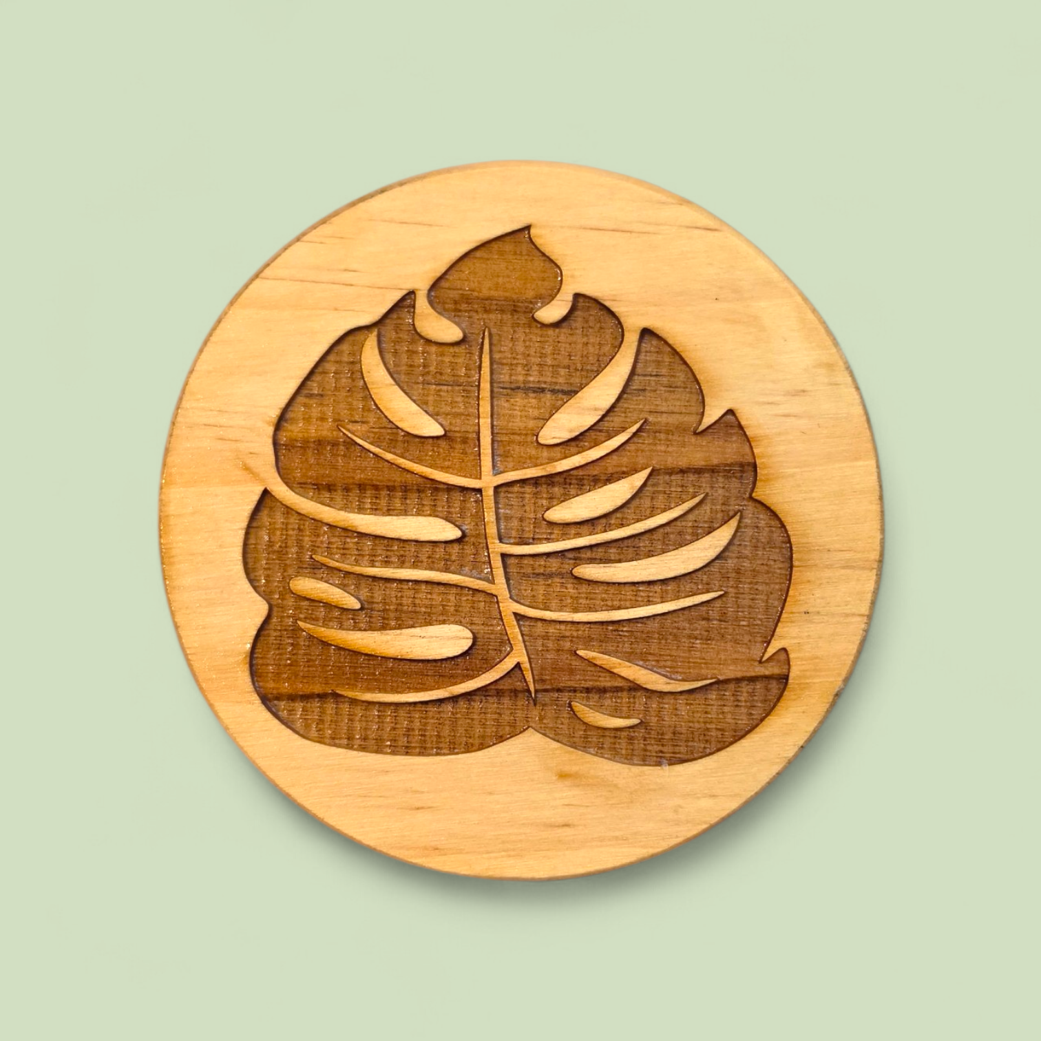 Pine Coasters (set of 4)