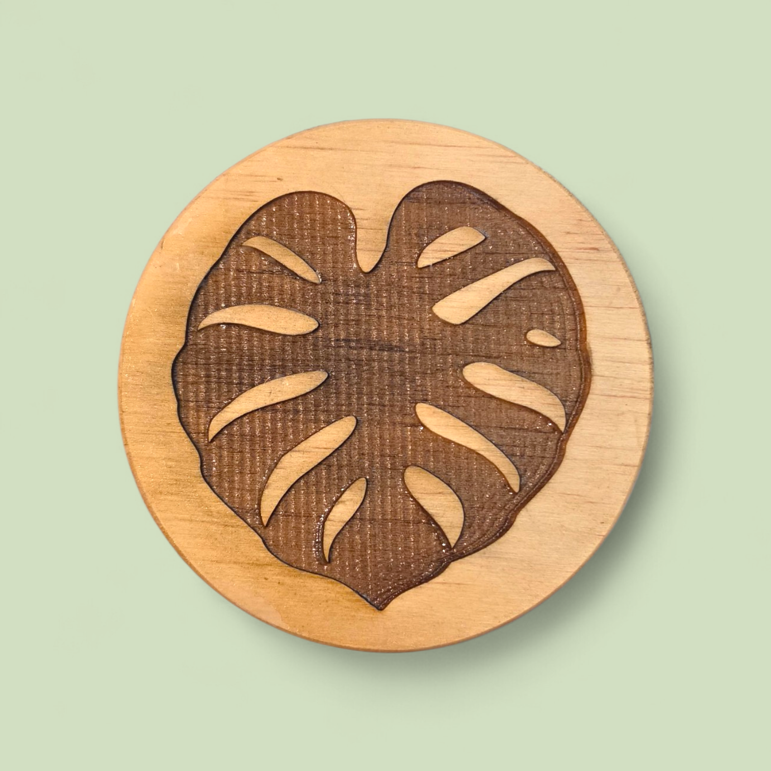 Pine Coasters (set of 4)